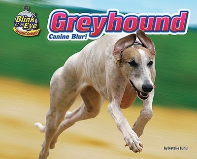 Greyhound: Canine Blur! - Lunis, Natalie