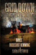 Grid Down Perceptions Of Reality Vol 2 Book 1: Vol 2 Book 1