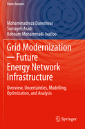 Grid Modernization  Future Energy Network Infrastructure: Overview, Uncertainties, Modelling, Optimization, and Analysis