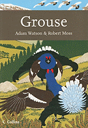 Grouse