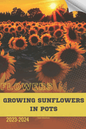 Growing Sunflowers in Pots: Become flowers expert