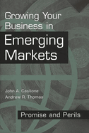 Growing Your Business in Emerging Markets: Promise and Perils
