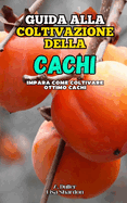 Guida alla Coltivazione del Cachi: Impara come coltivare ottimi Cachi