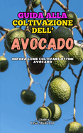 Guida alla Coltivazione dell' Avocado: Impara come coltivare ottimi Avocado