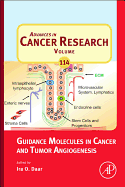 Guidance Molecules in Cancer and Tumor Angiogenesis: Volume 114