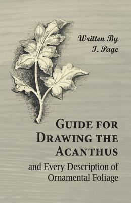 Guide for Drawing the Acanthus, and Every Description of Ornamental Foliage - Page, I