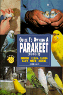 Guide to Owning a Parakeet