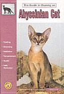 Guide to Owning an Abyssinian Cat