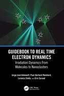 Guidebook to Real Time Electron Dynamics: Irradiation Dynamics From Molecules to Nanoclusters