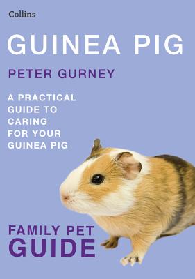 Guinea Pig - Gurney, Peter