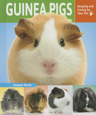 Guinea Pigs - Beck, Angela