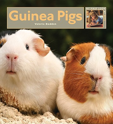 Guinea Pigs - Bodden, Valerie