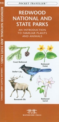 Gulf Coast Seashore Life: An Introduction to Familiar Plants and Animals - Kavanagh, James, and Waterford Press