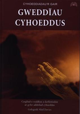 Gwedd?au Cyhoeddus - Gair, Cyhoeddiadau'r, and Davies, Aled (Editor)