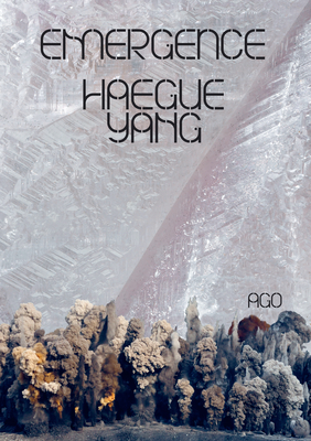 Haegue Yang: Emergence - Vlas, Adelina, and Cooke, Lynne, and Beck, Jee-sook