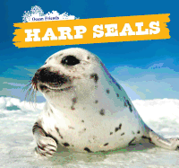 Harp Seals