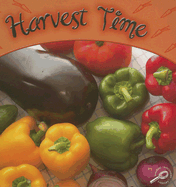 Harvest Time