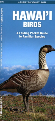 Hawai'i Birds: A Folding Pocket Guide to Familiar Species - Waterford Press