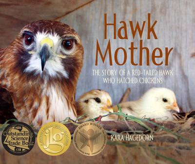 Hawk Mother: The Story of a Red-Tailed Hawk Who Hatched Chickens - Hagedorn, Kara