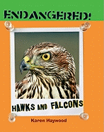 Hawks and Falcons