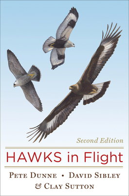 Hawks in Flight - Sibley, David, Mr., and Sutton, Clay
