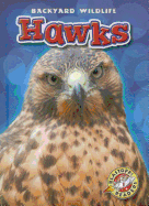 Hawks