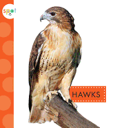 Hawks