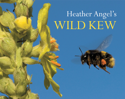 Heather Angel's Wild Kew - Angel, Heather