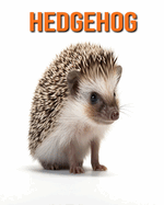 Hedgehog: Fun Facts Book for Kids with Amazing Photos