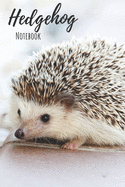 Hedgehog Notebook: 120 pages, 6"x9" - Cute Little Hedgehogs and Leaves College Ruled Notebook for Writing Notes... for Girls, Kids, School, Students and Teachers (Hedgehog Gifts)