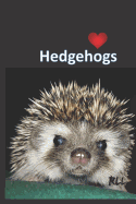 Hedgehogs: A lined notebook with fun facts about hedgehogs