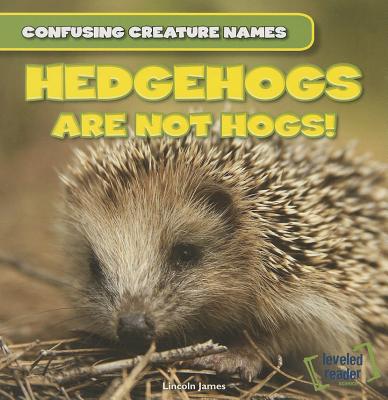 Hedgehogs Are Not Hogs! - James, Lincoln