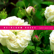 Heirloom Roses: A Passion for Roses