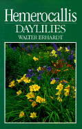 Hemerocallis, Daylilies