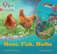 Hens, Fish, Moths: Phase 2 Set 5 Blending Practice