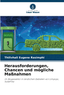 Herausforderungen, Chancen und mgliche Manahmen