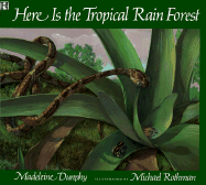 Here Is the Tropical Rainforest