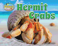 Hermit Crabs