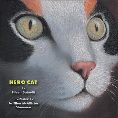 Hero Cat - Spinelli, Eileen
