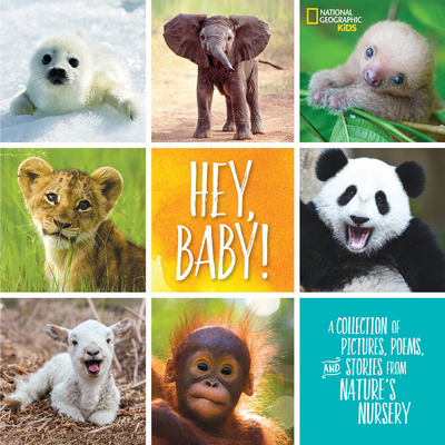 Hey, Baby!: A Collection of Pictures, Poems, and Stories from Nature's Nursery - Drimmer, Stephanie Warren