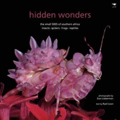 Hidden Wonders: The Small 5005 of Southern Africa: Insects, Spiders, Frogs, Reptiles - Loon, Rael, and Lieberman, Dan (Photographer)