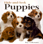 Hide-And-Seek Puppies