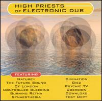 High Priests of Electronic Dub - Various Artists