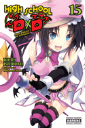 High School DXD, Vol. 15 (Light Novel): Dark Knight of Sunshine