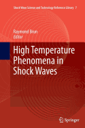 High Temperature Phenomena in Shock Waves