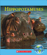 Hippopotamuses