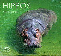 Hippos