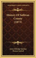 History Of Sullivan County (1873)