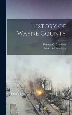 History of Wayne County - Goodrich, Phineas G, and Haines and Beardsley (Creator)