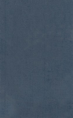 Homer Vol. II. Iliad (Books XIII-XXIV) - Monro, D. B. (Editor), and Allen, T. W. (Editor)